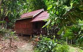 จังเกิ้ลฮิลล์บีช บังกะโล